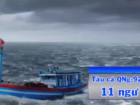 Đã tiếp cận cứu 11 ngư dân Quảng Ngãi bị trôi dạt trên biển