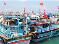 Các tỉnh miền Trung kêu gọi tàu thuyền tránh trú an toàn