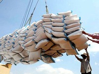 Nâng sản lượng gạo xuất khẩu hơn 5,7 triệu tấn