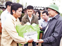Hỗ trợ Bình Định khắc phục hậu quả mưa lũ