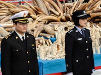 Trung Quốc cấm buôn bán các sản phẩm từ ngà voi