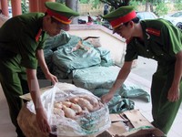 Phát hiện 450kg thịt gà đông lạnh không rõ nguồn gốc tại Quảng Trị