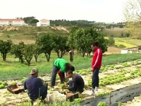 Tù nhân Bồ Đào Nha làm nông nghiệp
