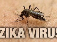 Hà Nội tăng cường phòng chống Zika tại bệnh viện