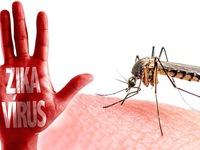 Mỹ cảnh báo hạn chế đi lại do virus Zika