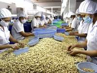 Vốn FDI vào Việt Nam sắp cán mốc 15 tỷ USD