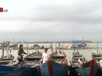 Ngư dân TT-Huế đẩy mạnh đánh bắt xa bờ