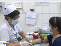 TP.HCM: Khẩn trương ban hành quy trình tiếp nhận và điều trị virus Zika
