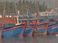 Ngư dân Bình Định ký cam kết không vi phạm lãnh hải
