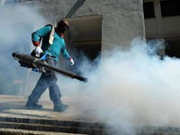 Singapore phát hiện ổ virus Zika mới gần khu vực Tây - Bắc
