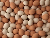 Đức ngừng tiêu thụ trứng nhập khẩu từ Hà Lan