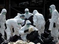Trung Quốc ghi nhận cúm gia cầm H7N9 ở người