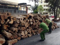 Đăk Lăk bắt giữ xe tải chở hơn 10m3 gỗ lậu