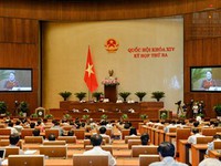 Phó Thủ tướng thường trực Trương Hòa Bình trả lời chất vấn