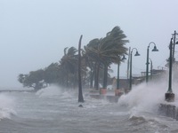 Bão Irma gây thiệt hại đáng kể tại các vùng lãnh thổ thuộc Pháp