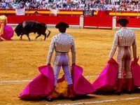 Lễ hội đấu bò tót gây chia rẽ Tây Ban Nha