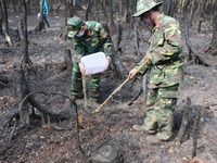 Cháy rừng tràm tại An Giang: Do người dân vứt tàn thuốc lá