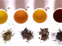 Bạn đã hiểu hết công dụng của từng loại trà với sức khỏe?