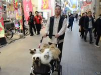 Nhật Bản: Người đàn ông 17 năm quảng bá vẻ đẹp của mèo