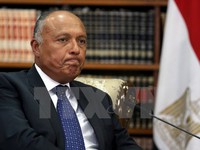 Ai Cập không chấp nhận thỏa hiệp với Qatar