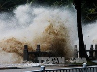 Trung Quốc ban bố cảnh báo vàng do bão Pakhar