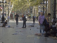 Tây Ban Nha bắt giữ 2 nghi phạm sau vụ đâm xe