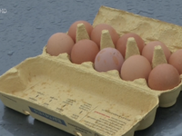 Ủy ban châu Âu kêu gọi họp khẩn về bê bối trứng “bẩn”