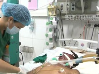 Thái Nguyên: Một người tử vong do nhiễm khuẩn liên cầu lợn