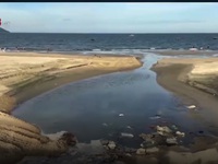 Ô nhiễm biển Đà Nẵng: Cần giải quyết từ gốc