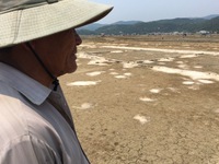 Người nông dân đắng lòng trước những cánh đồng không muối ở Bạch Long
