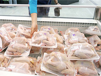 Giá thịt gà xuống mức thấp nhất 5 năm qua
