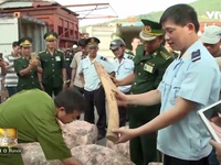 Việt Nam - Vương quốc Anh chung tay chống buôn bán động vật hoang dã