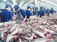 Khai mạc Hội chợ cá tra và thủy sản Việt Nam