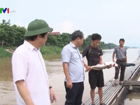 Thủy điện Hòa Bình xả lũ, dân nuôi cá Phú Thọ thiệt hại nặng