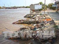 Cá chết ở Đầm Dơi, Cà Mau: Do nguồn nước bị ô nhiễm