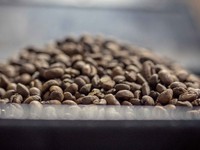 Brazil cho phép nhập khẩu cà phê Robusta từ Việt Nam