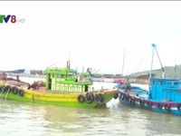 Các tỉnh Nam Trung bộ cấm ngư dân ở lại trên thuyền, lồng bè