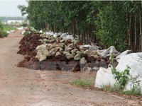 Điều tra vụ đổ hàng ngàn bao chất thải giữa rừng tràm Đồng Nai