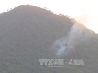 Khoảng 13 ha rừng thuộc Vườn Quốc gia Tam Đảo bị cháy
