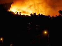 Cháy rừng tại Bolivia khiến hàng chục người thương vong