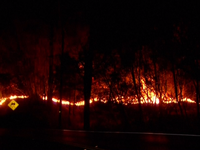 Thương vong kỷ lục do cháy rừng tại Mỹ