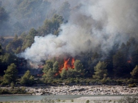 Cháy rừng diện rộng tại miền Nam nước Pháp