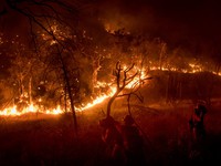 Mỹ ban bố tình trạng khẩn cấp do cháy rừng tại California