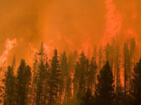 Cháy rừng ở Mỹ khiến bầu trời chuyển sang màu cam