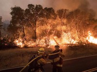 Mỹ sơ tán hàng nghìn người do cháy rừng