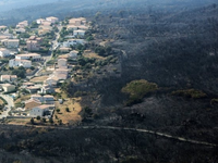 Pháp sơ tán 10 nghìn người do cháy rừng