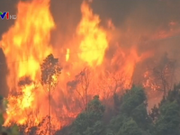 Cháy rừng dữ dội ở Tây Ban Nha, 2 người thiệt mạng