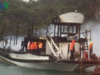 Cháy tàu du lịch trên vịnh Hạ Long, 14 khách nước ngoài an toàn