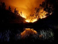 Bồ Đào Nha nỗ lực dập tắt cháy rừng