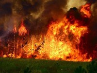 Cháy rừng nghiêm trọng tại Mông Cổ